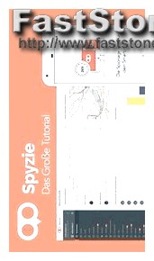 Does Spyzie Work in India